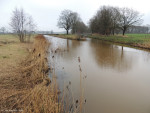 links Exosche Aa rechts Regge